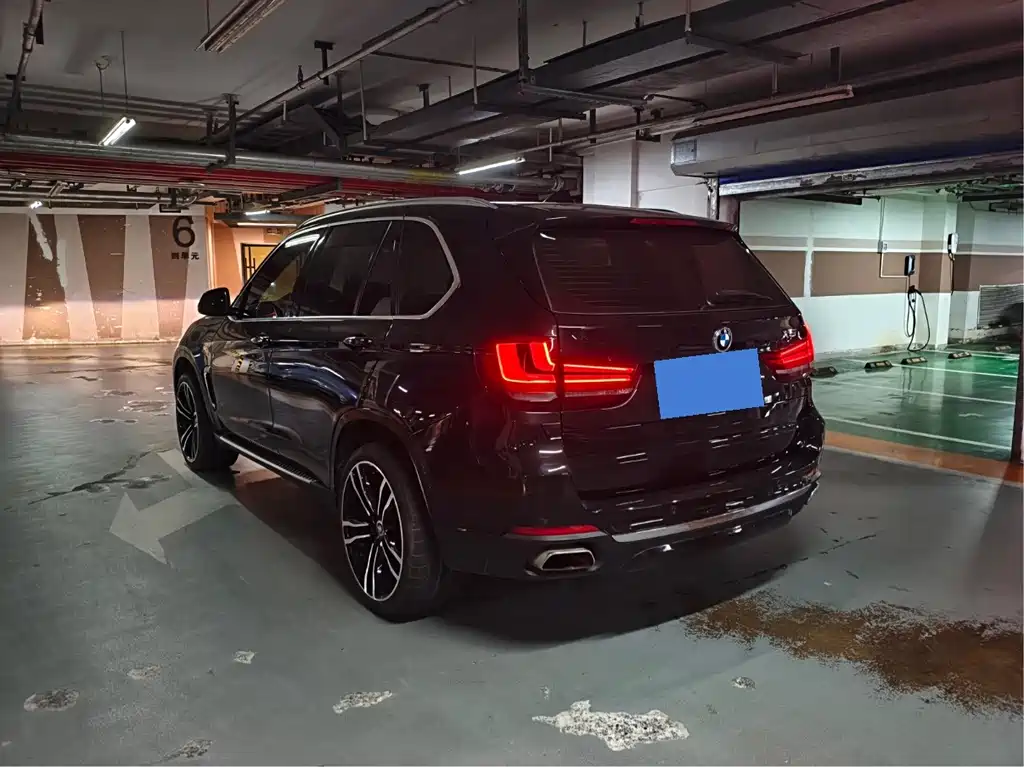 BMW X5 (Import) — миниатюра 10