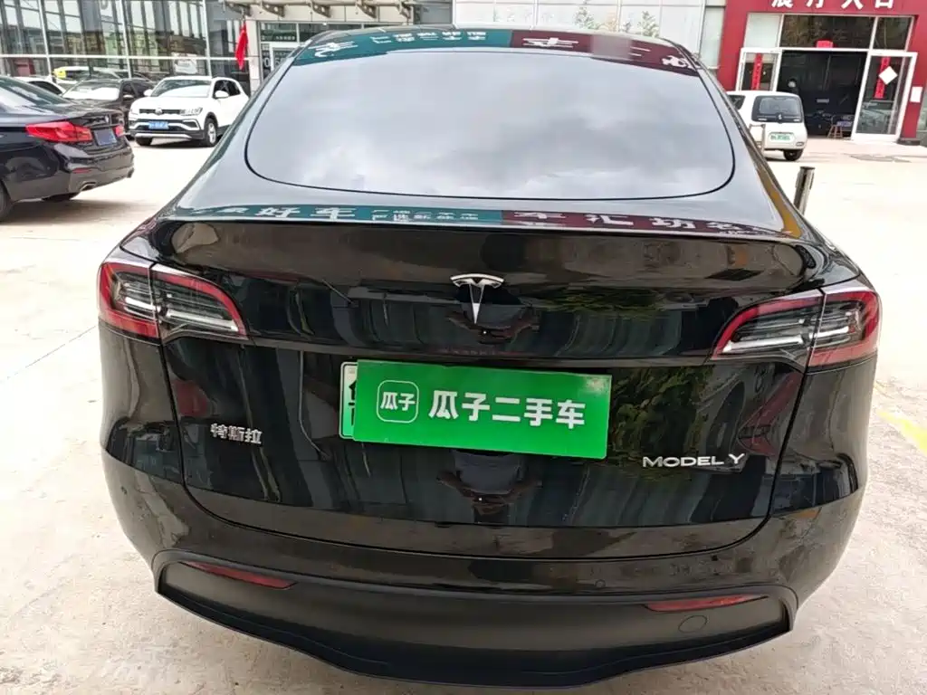 Tesla Model Y — миниатюра 6