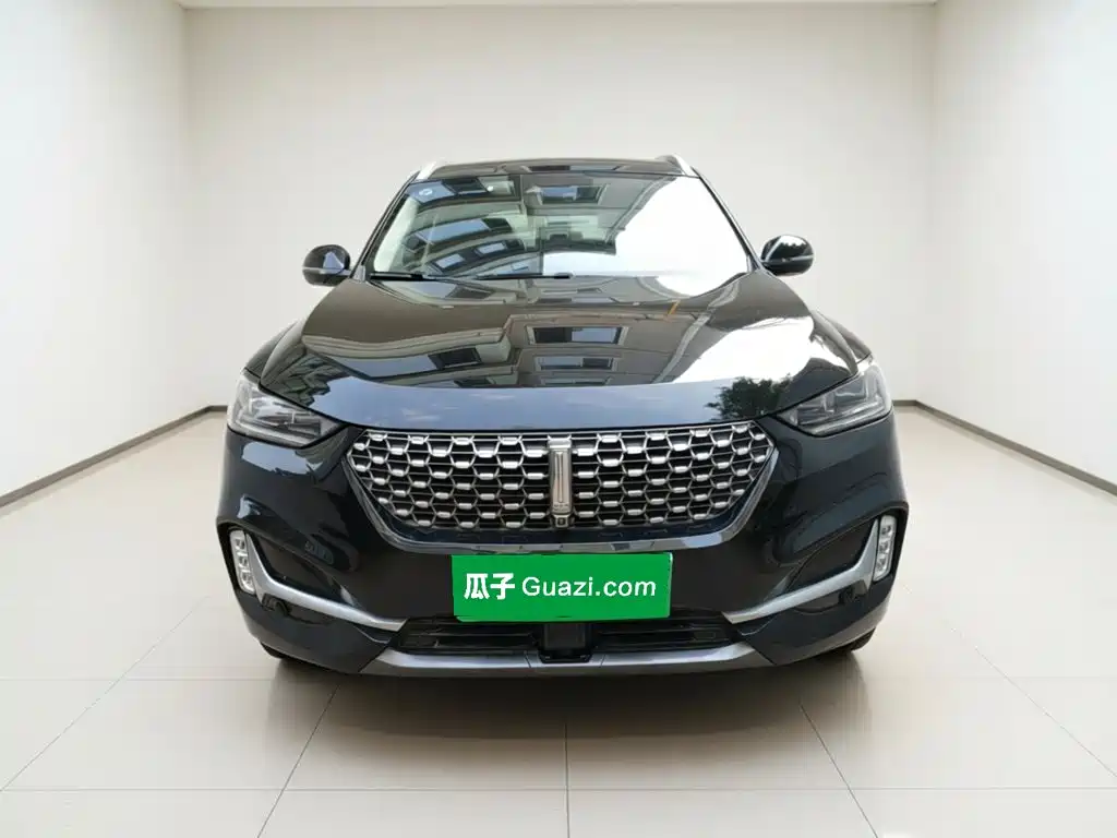 Wey Wey VV6 — миниатюра 2