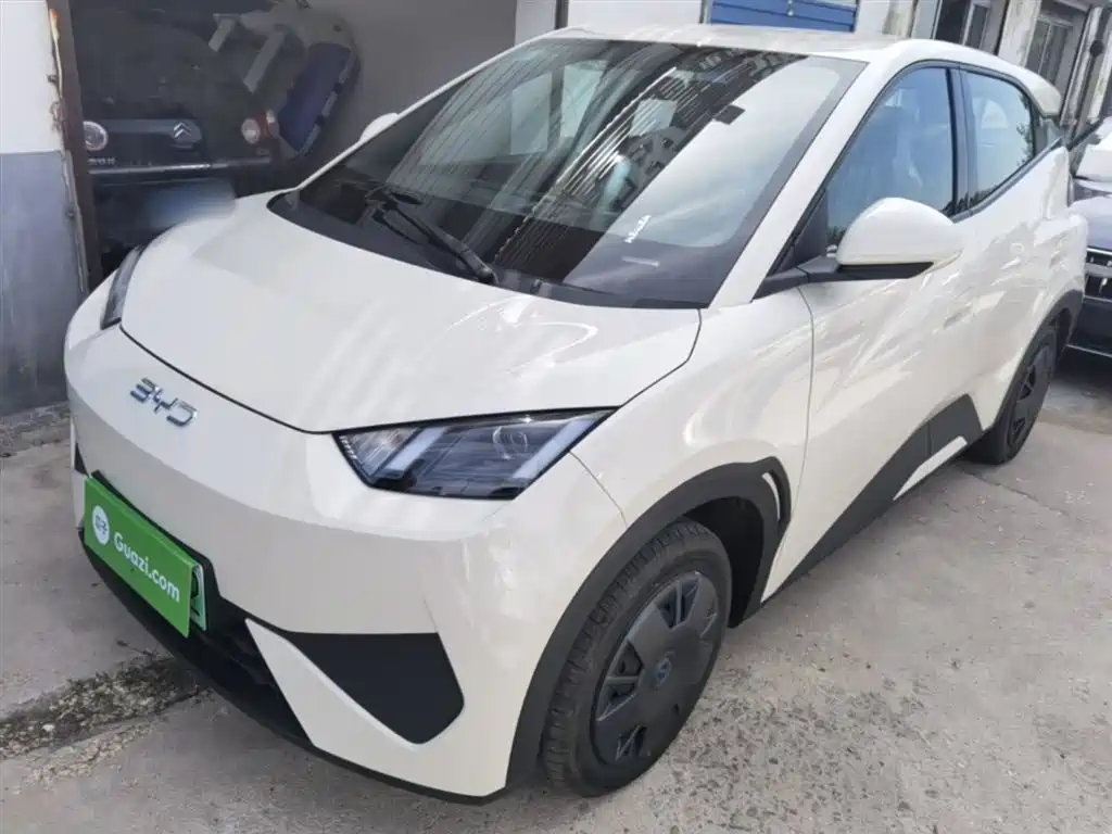 Byd Seagull 2026