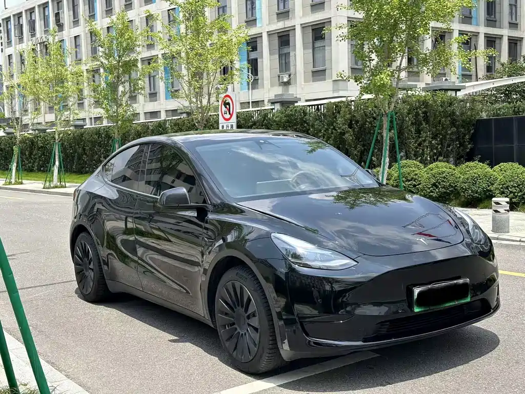 Tesla Model Y — миниатюра 3