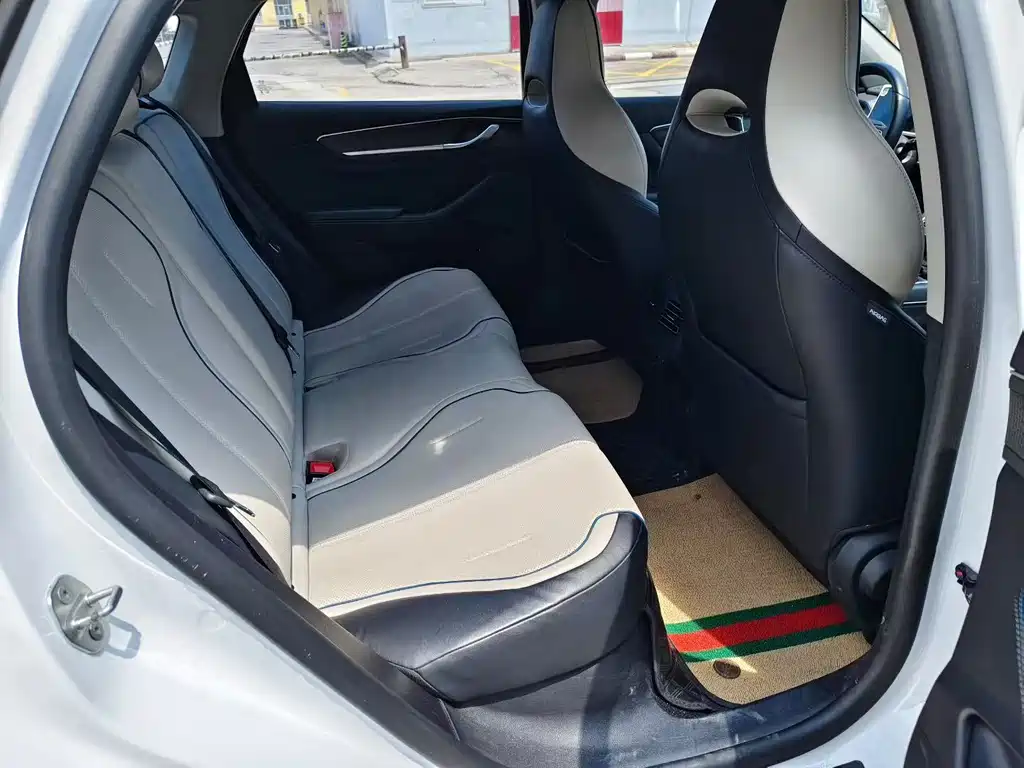 BYD Destroyer 05 2024 DM-i 55KM Luxury