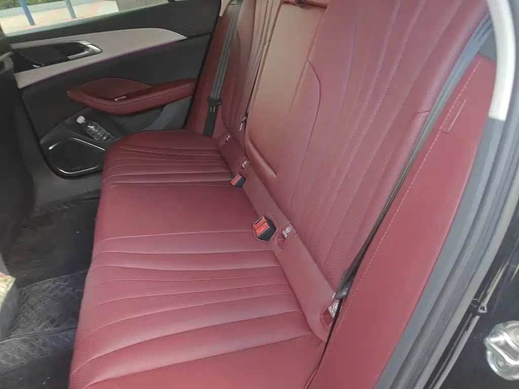 Hongqi Hongqi H5 PHEV — миниатюра 13