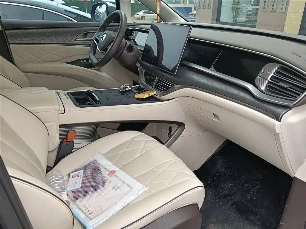 Denza D9 2024 DM-i 980 Luxury