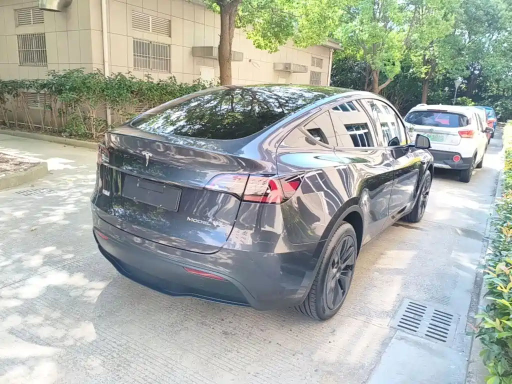 Tesla Model Y — миниатюра 7