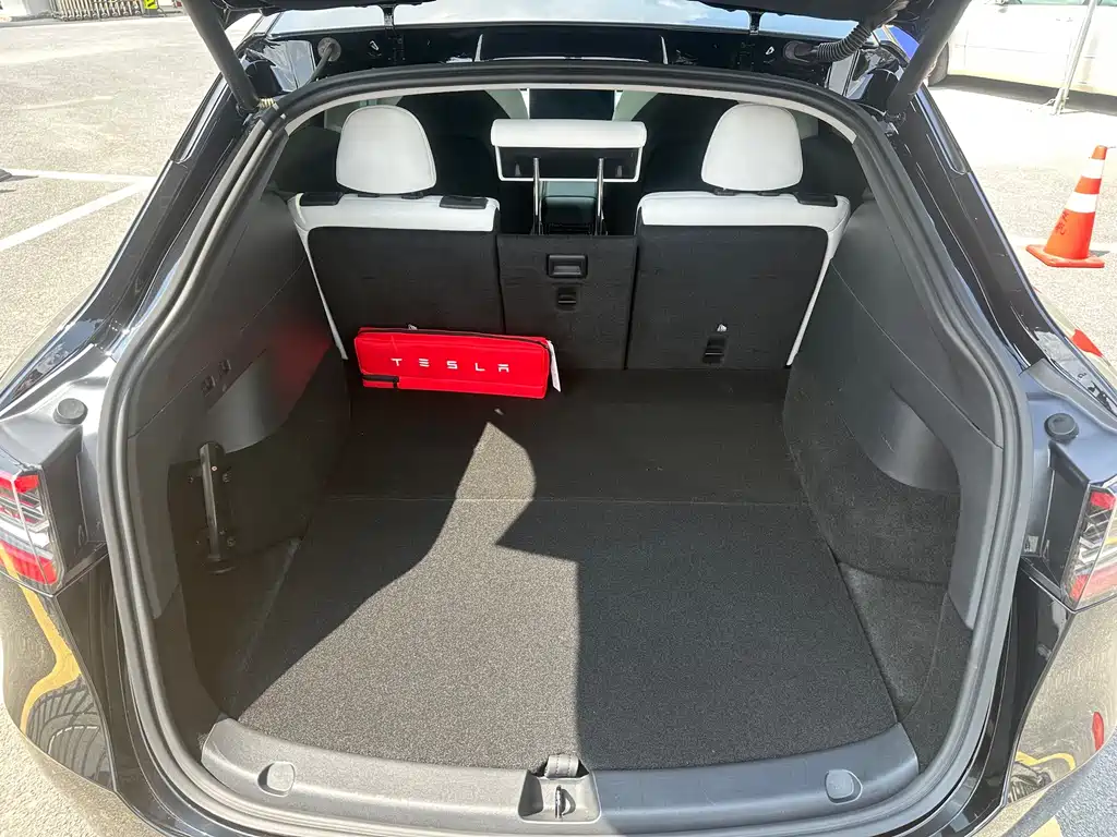 Tesla Model Y — миниатюра 11
