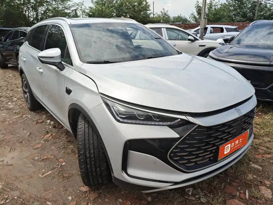 BYD Tang New Energy — миниатюра 2