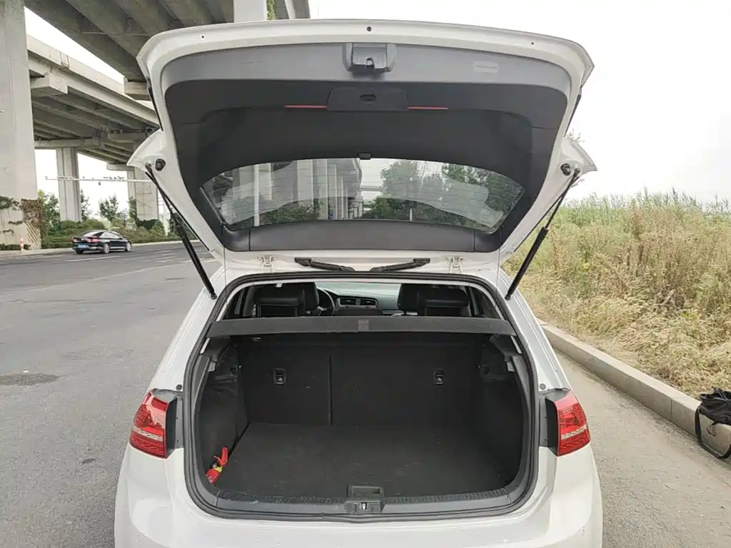 Volkswagen Golf — миниатюра 19