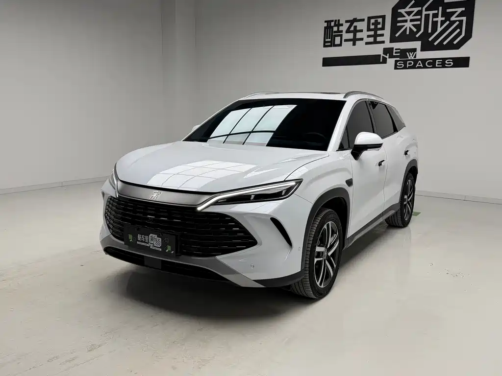 Byd L DM-i 2025