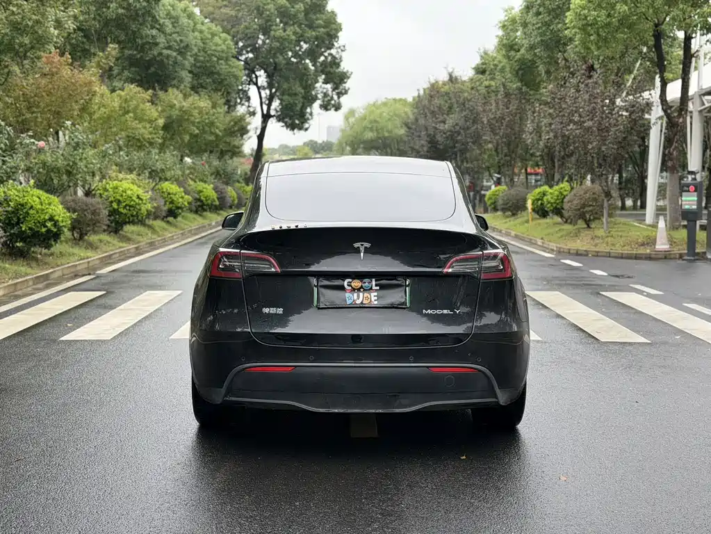 Tesla Model Y — миниатюра 5