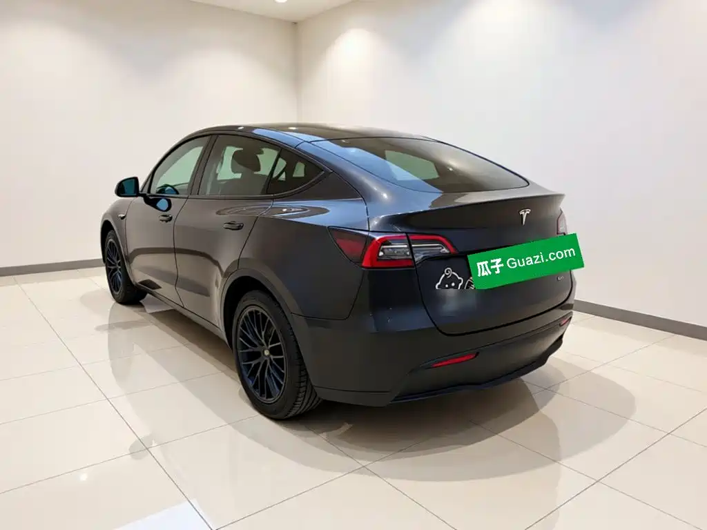 Tesla Model Y — миниатюра 4