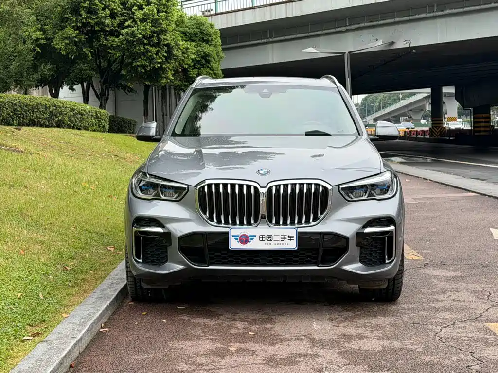 BMW X5 — миниатюра 2
