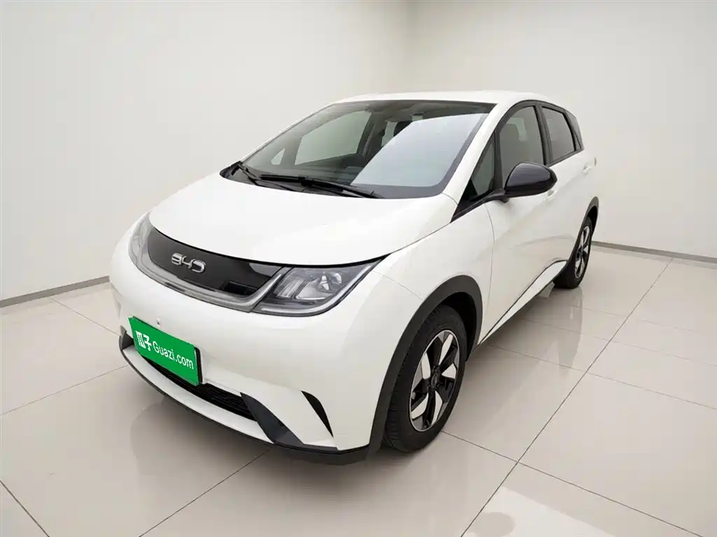Byd Dolphin 2025