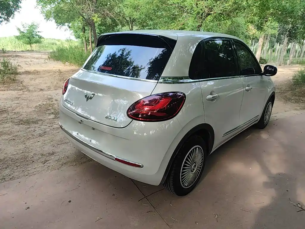 Wuling Binguo 2023 203km