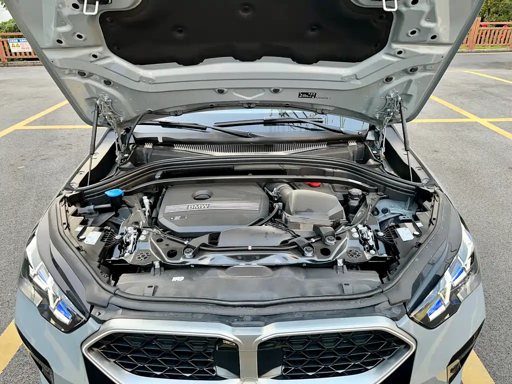 BMW X2 (Import) — миниатюра 20