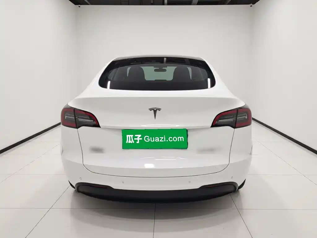 Tesla Model Y — миниатюра 3