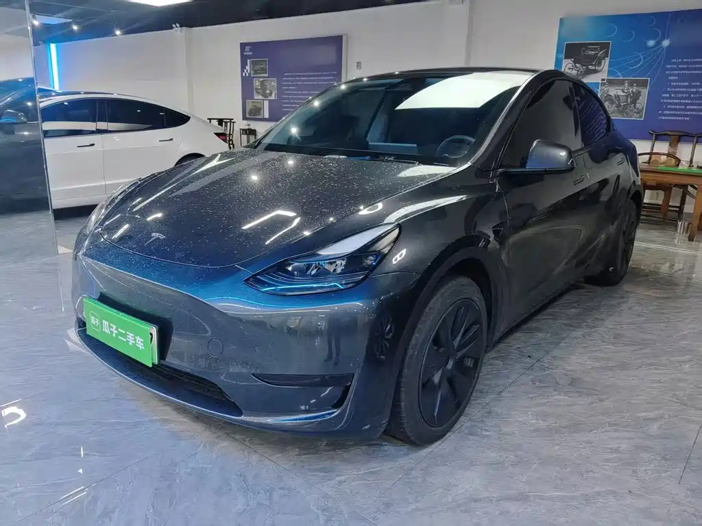 Tesla Model Y — миниатюра 2