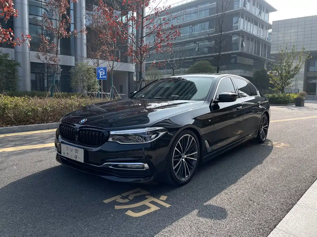 BMW 5 SERIES
