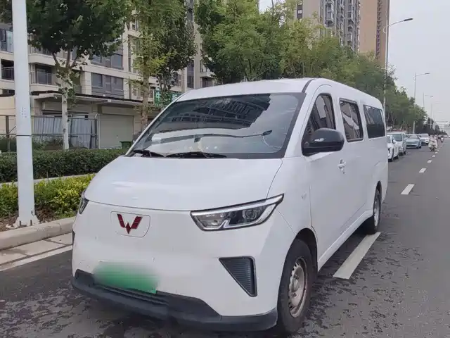 2024 Wuling Motors Yangguang
