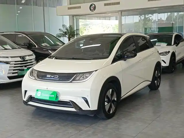 2023 BYD Dolphin