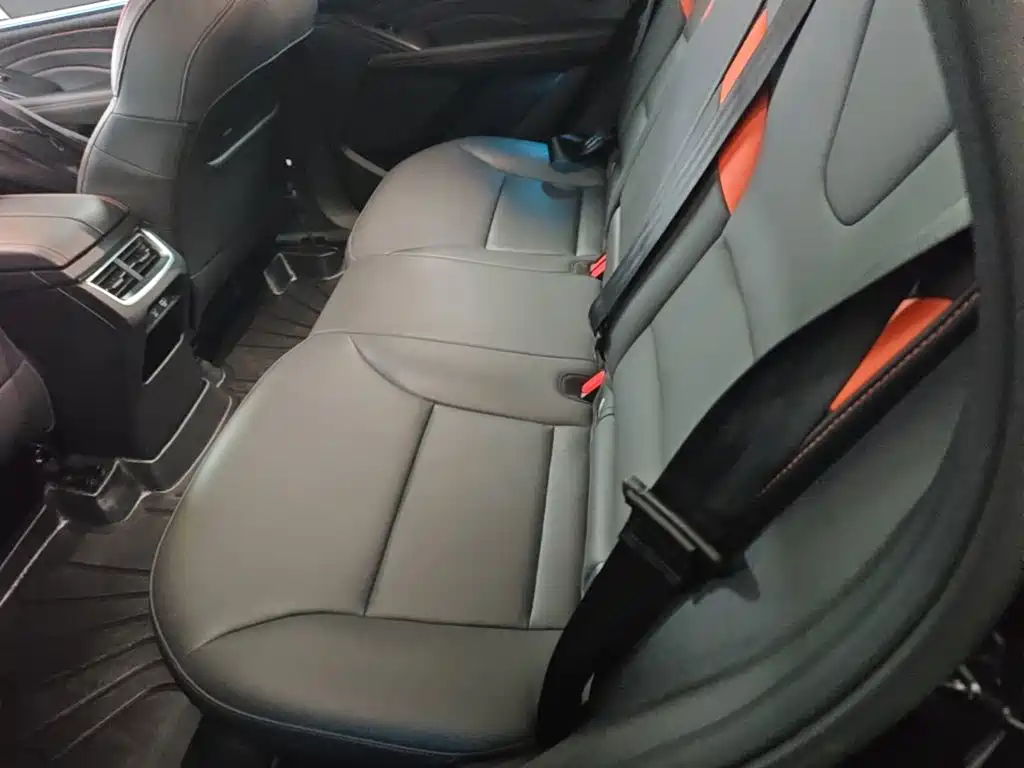 Haval Shenshou — миниатюра 17