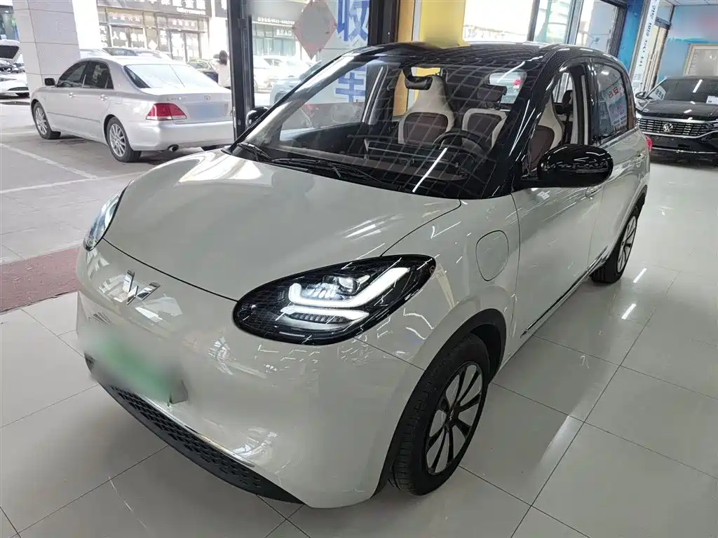 Wuling Bingo 2024
