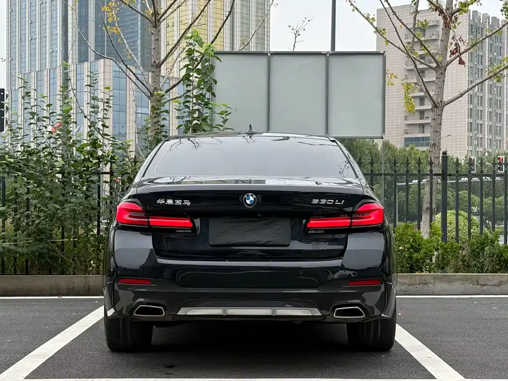 BMW 5 Series — миниатюра 8