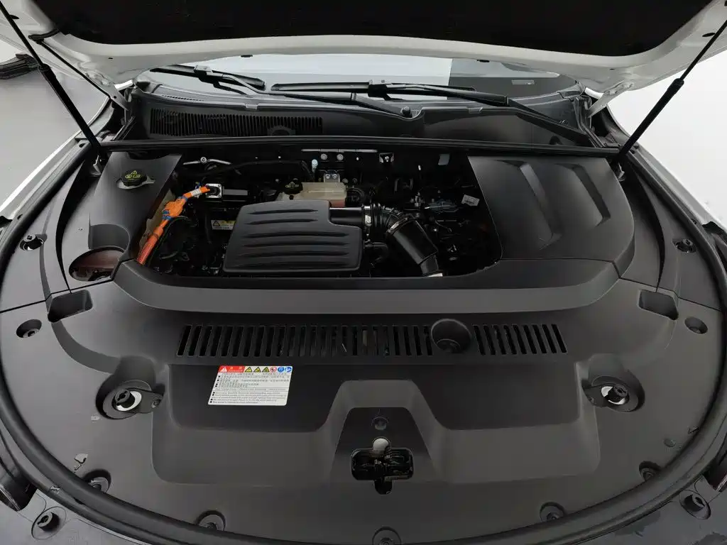 BYD New Energy — миниатюра 6