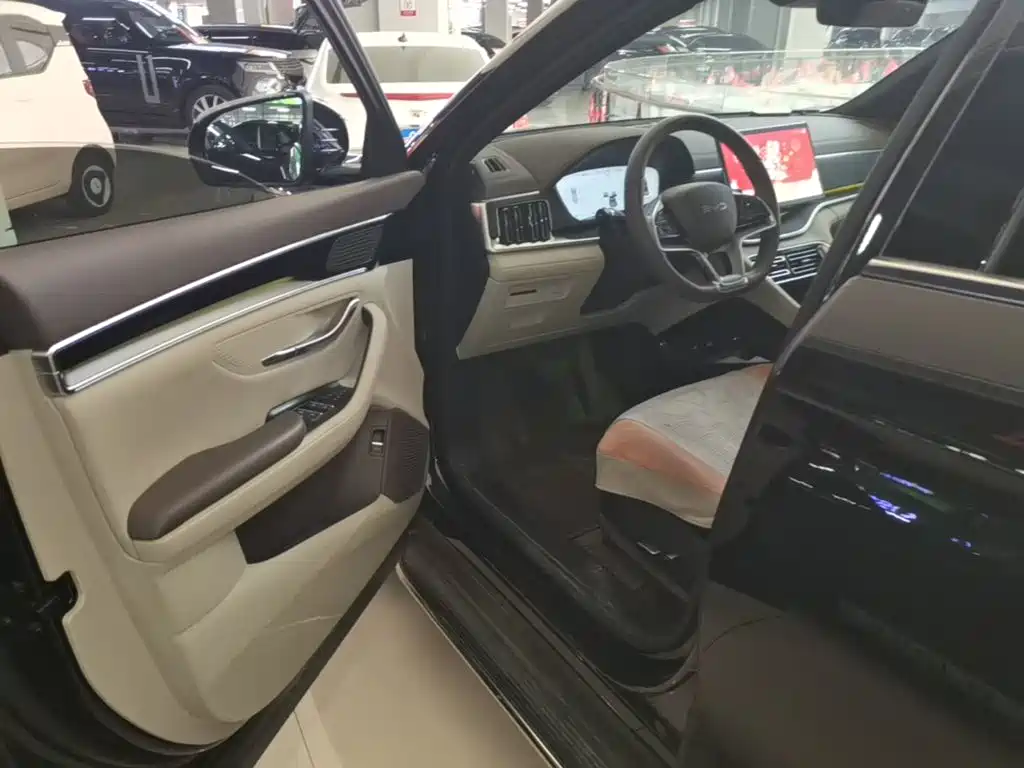BYD PLUS New Energy — миниатюра 16