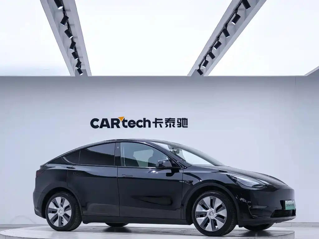 Tesla Model Y — миниатюра 3