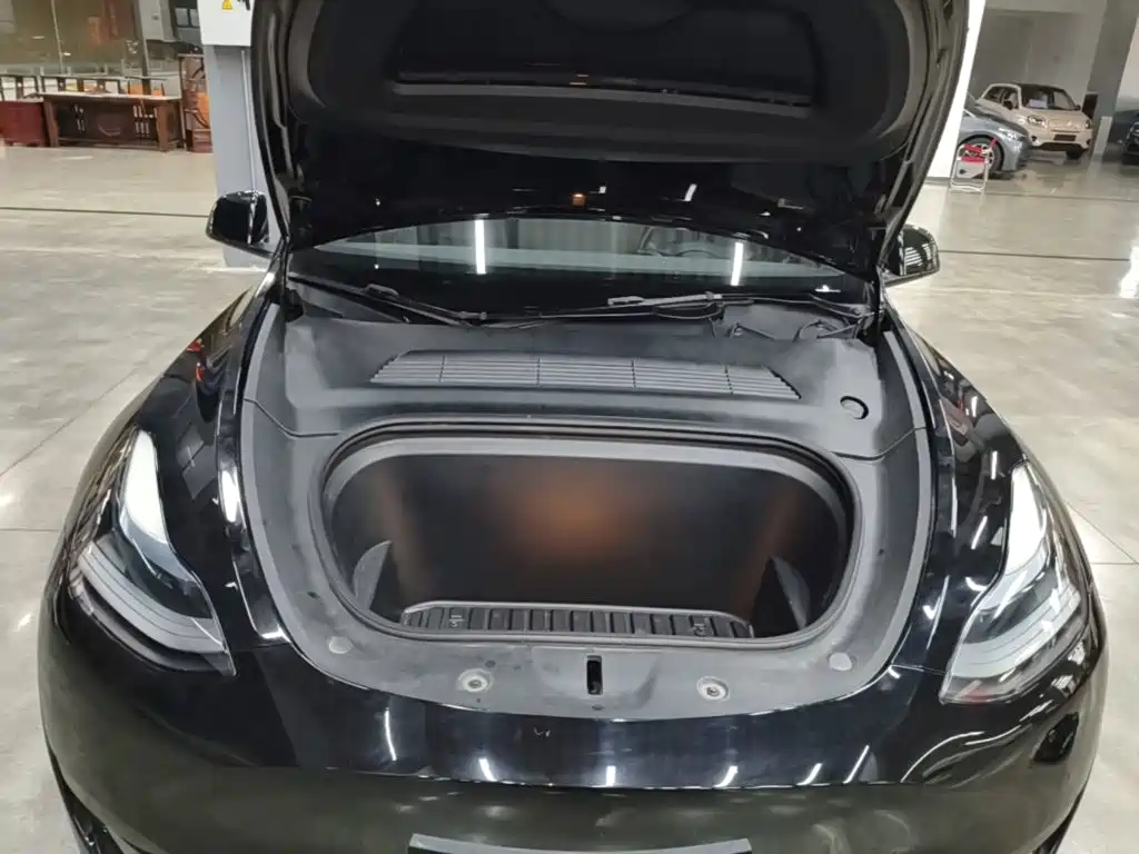 Tesla Model Y — миниатюра 20