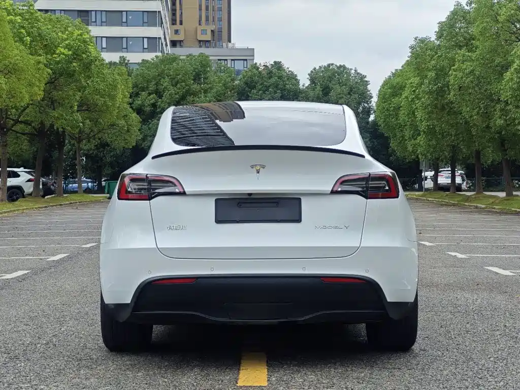 Tesla Model Y — миниатюра 18