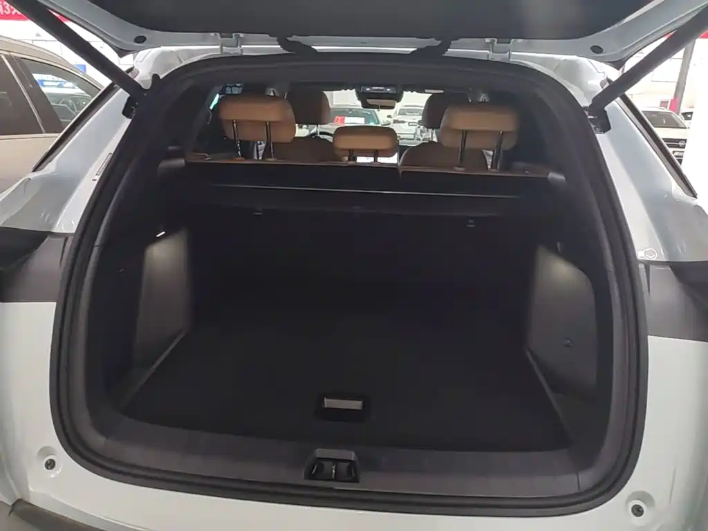 BYD L DM-i — миниатюра 19