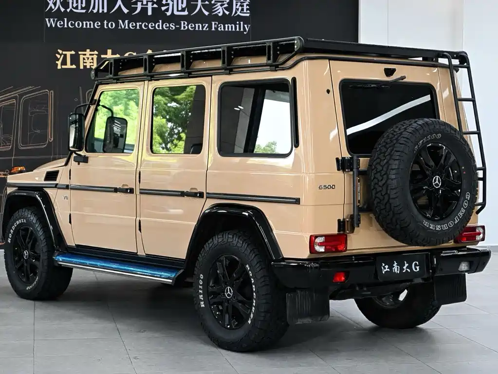 Mercedes-Benz G-Class G 2010 G 500