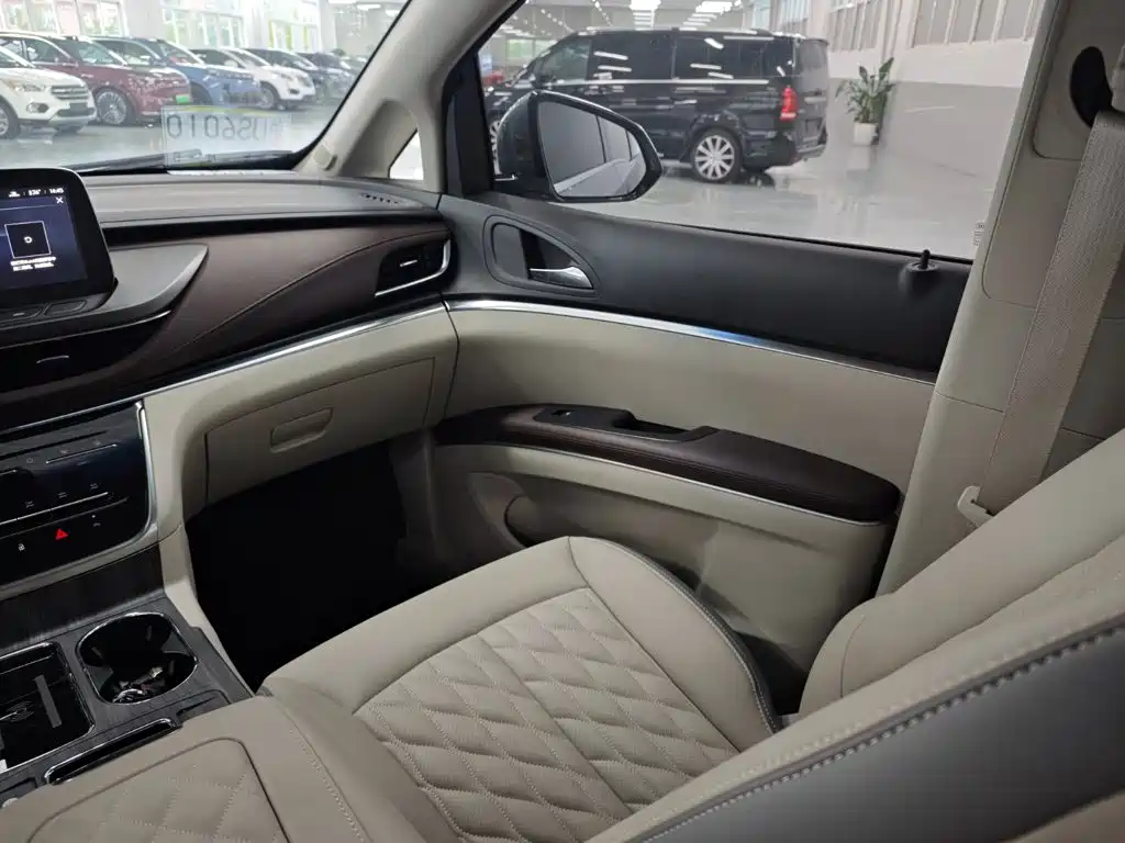 Buick GL8 — миниатюра 8