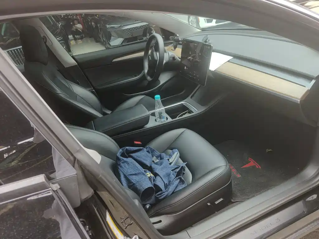 Tesla Model 3 — миниатюра 18