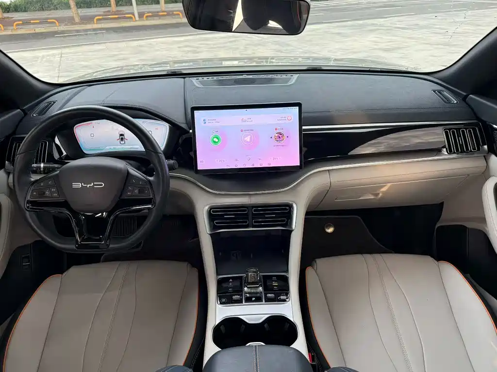 BYD PLUS New Energy — миниатюра 8