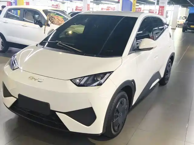 2025 BYD Seagull