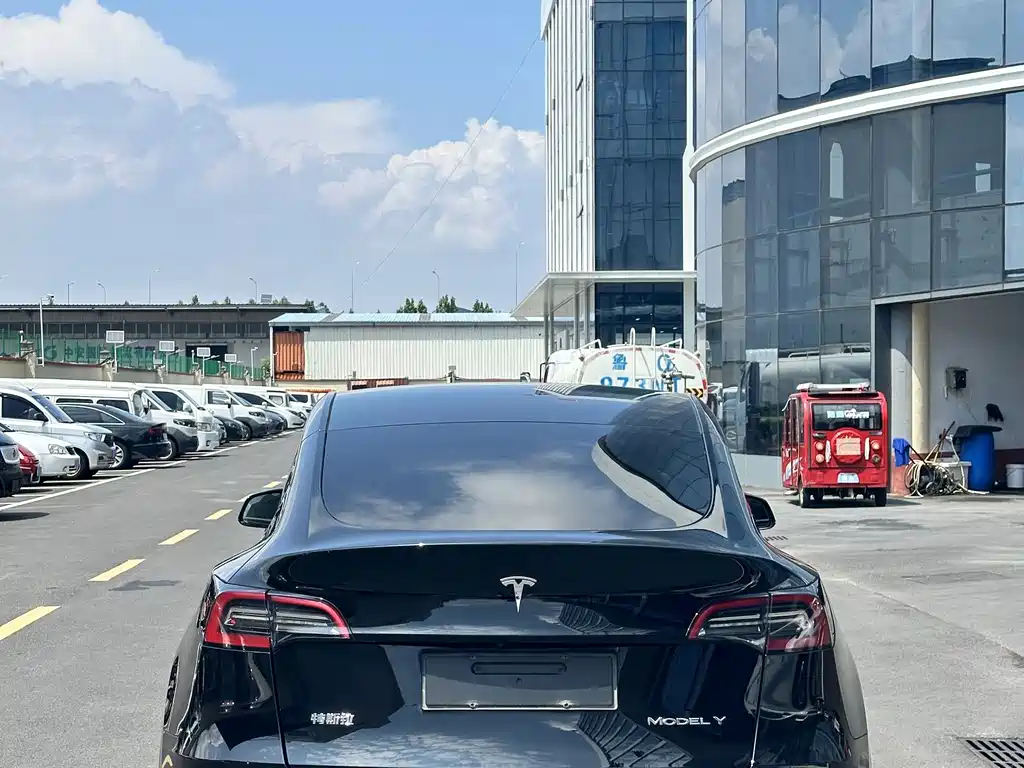 Tesla Model Y — миниатюра 4