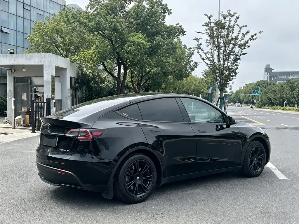 Tesla Model Y — миниатюра 2