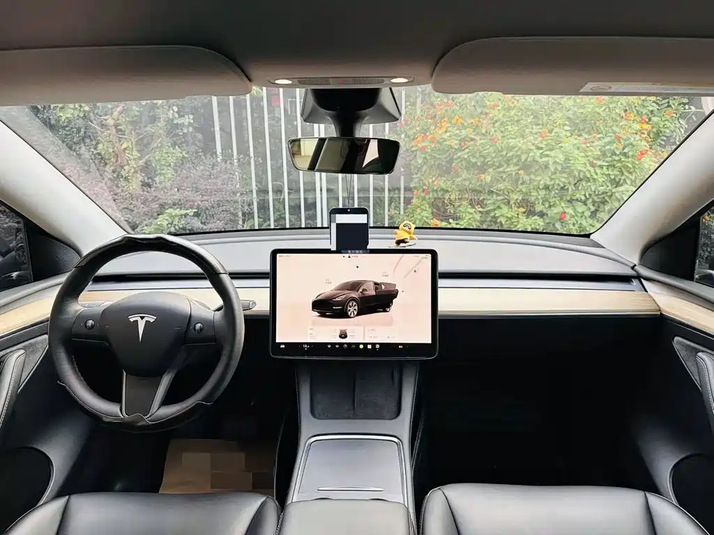 Tesla Model Y — миниатюра 5