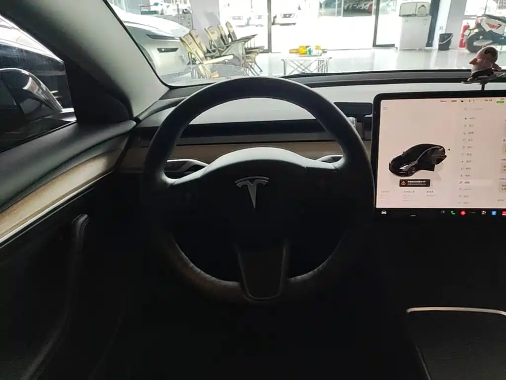 Tesla Model 3 — миниатюра 11