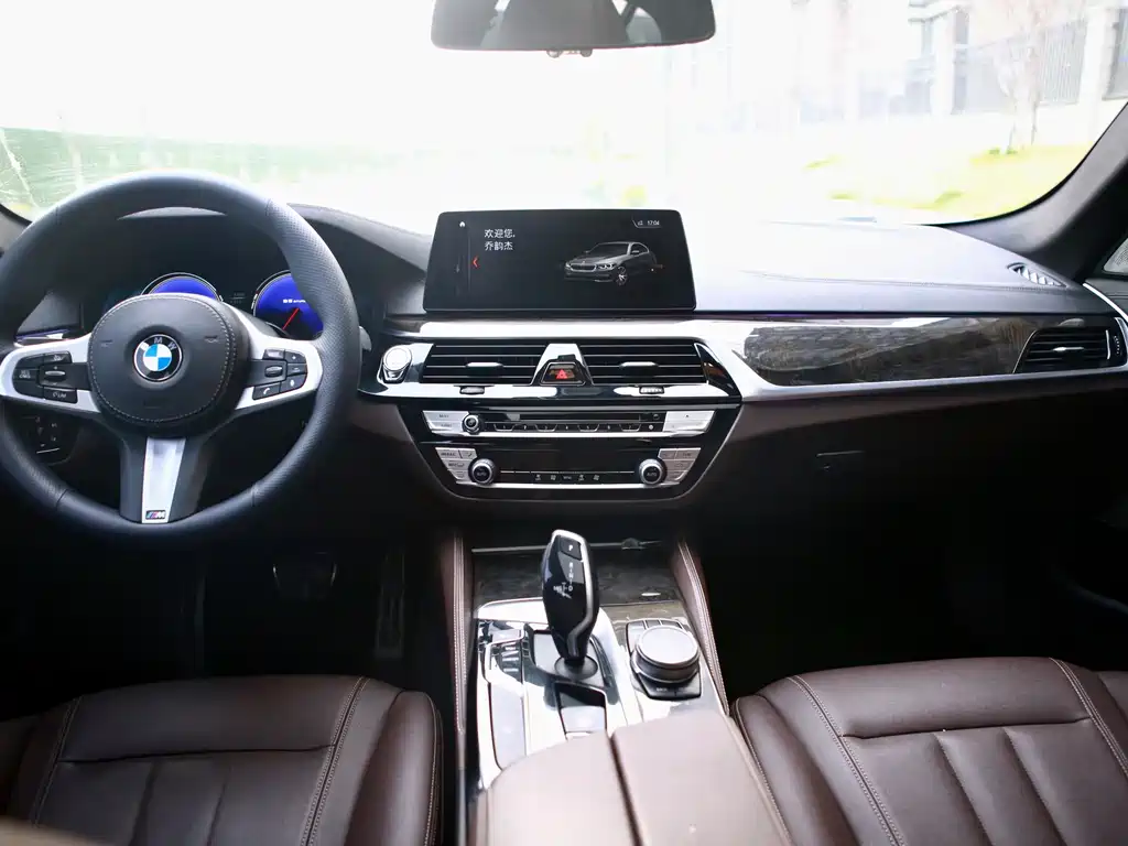 BMW 5 SERIES