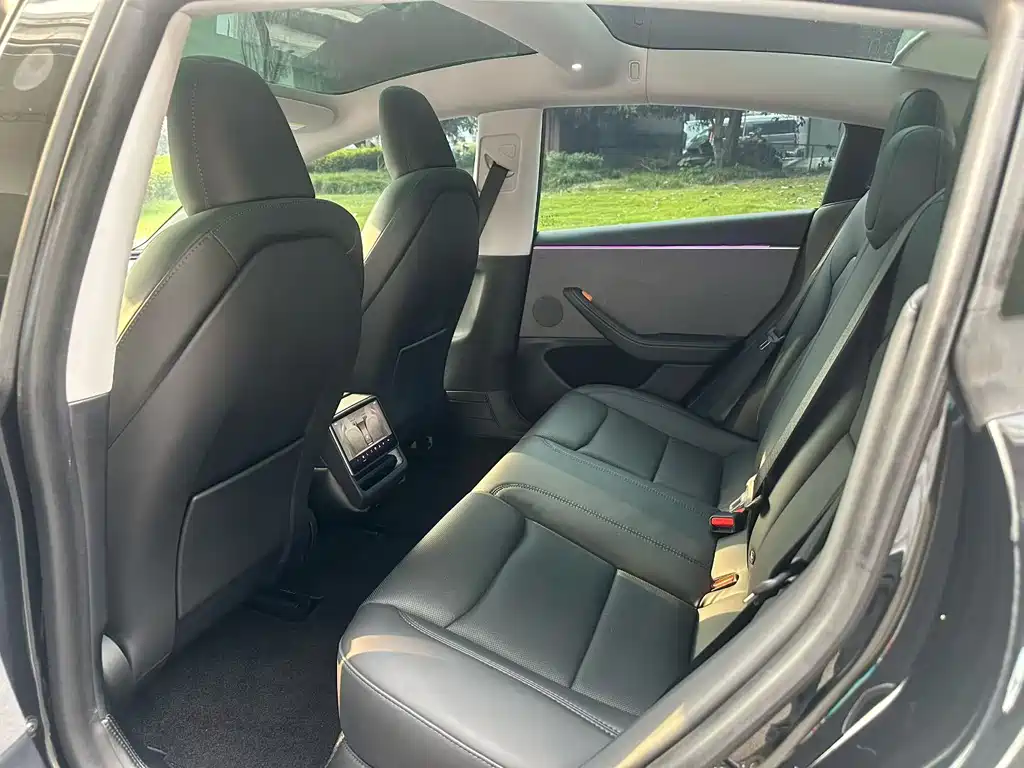 Tesla Model 3 — миниатюра 7