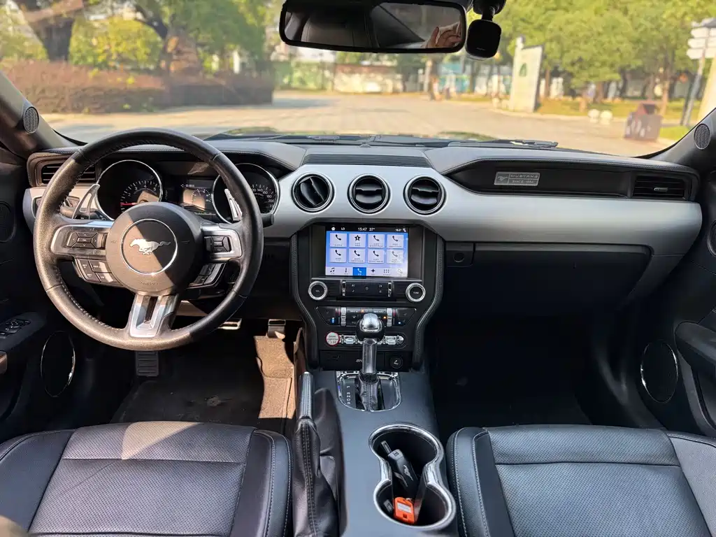 Ford Mustang — миниатюра 11