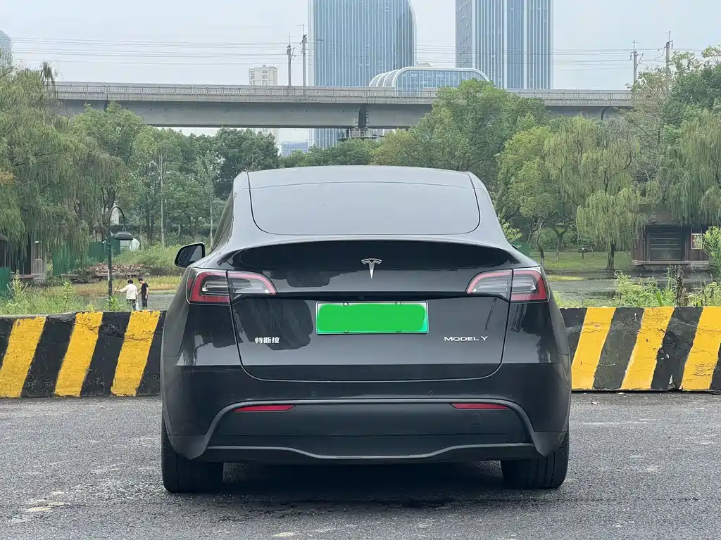 Tesla Model Y — миниатюра 6
