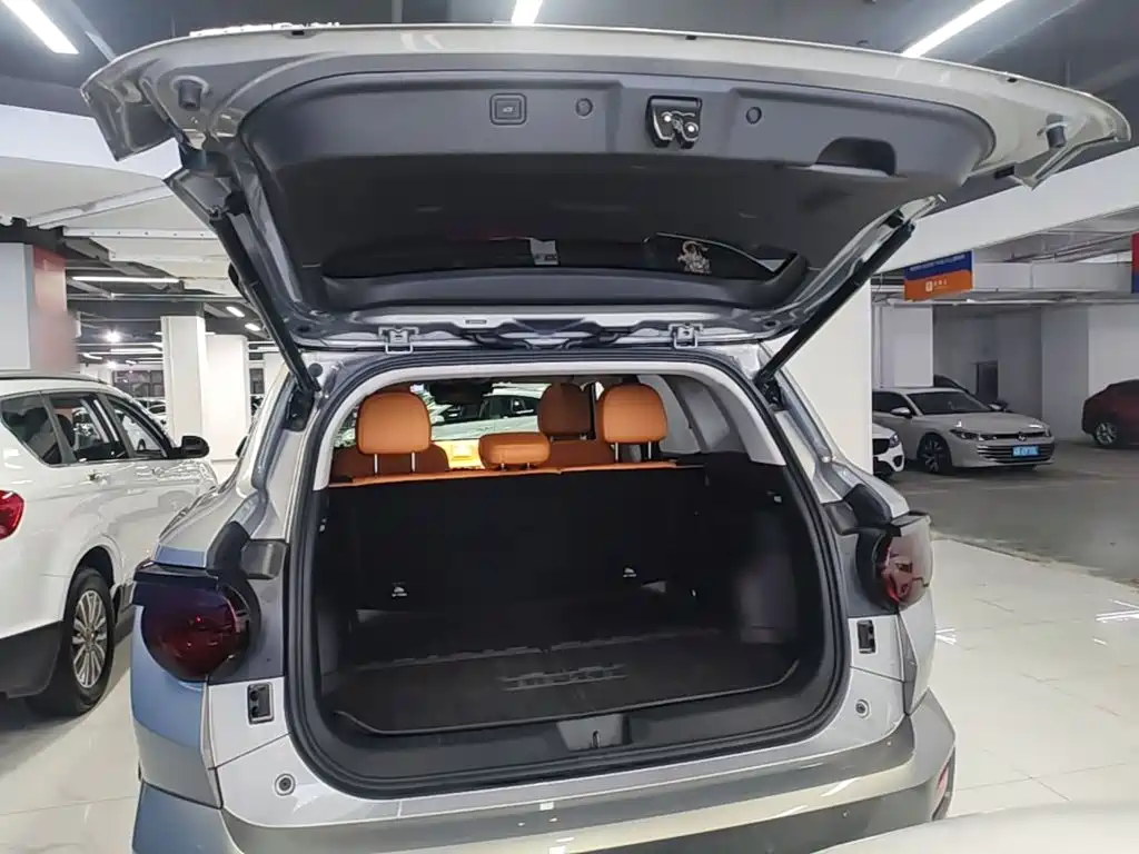 Haval Big Dog PLUS New Energy — миниатюра 19