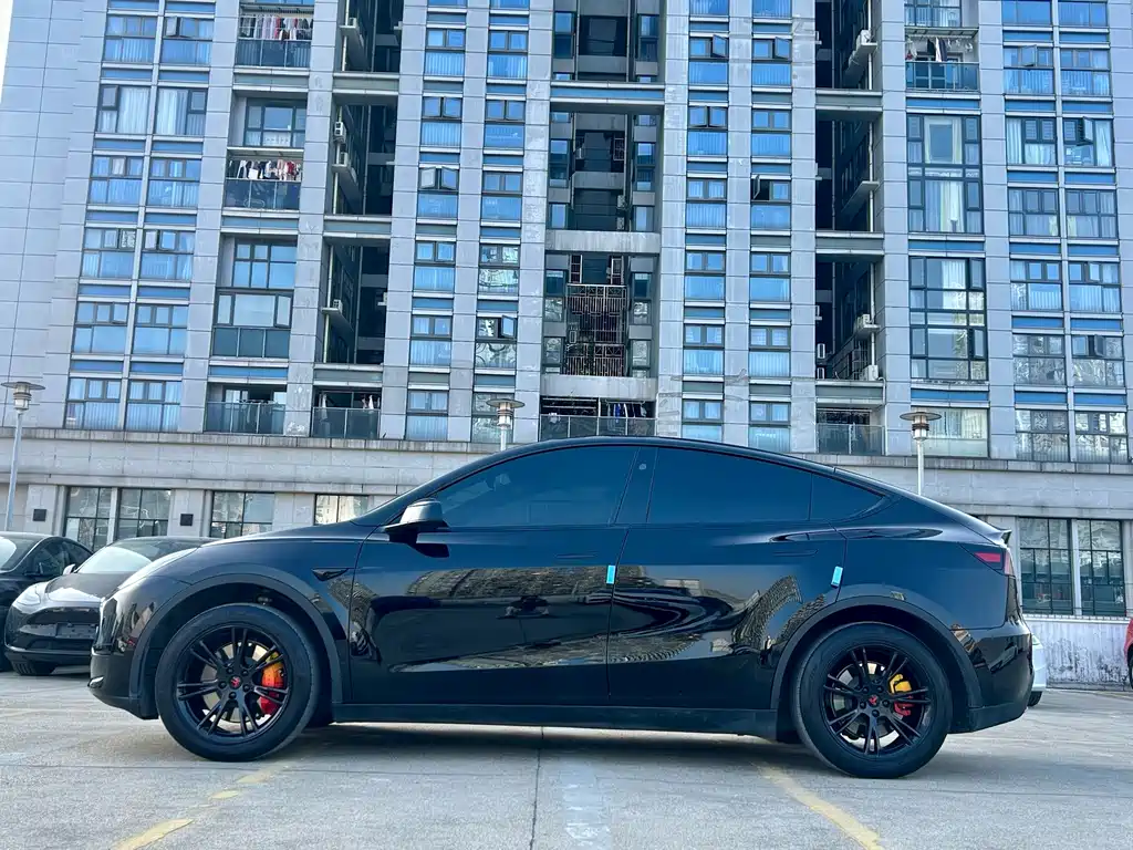 Tesla Model Y — миниатюра 3