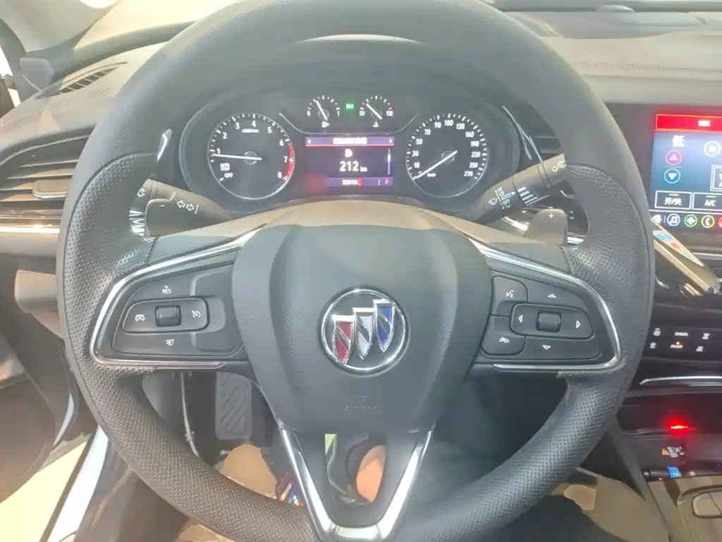Buick Regal — миниатюра 11