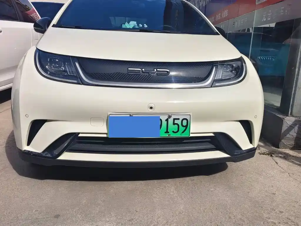 BYD Dolphin — миниатюра 2